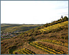 Landschaft